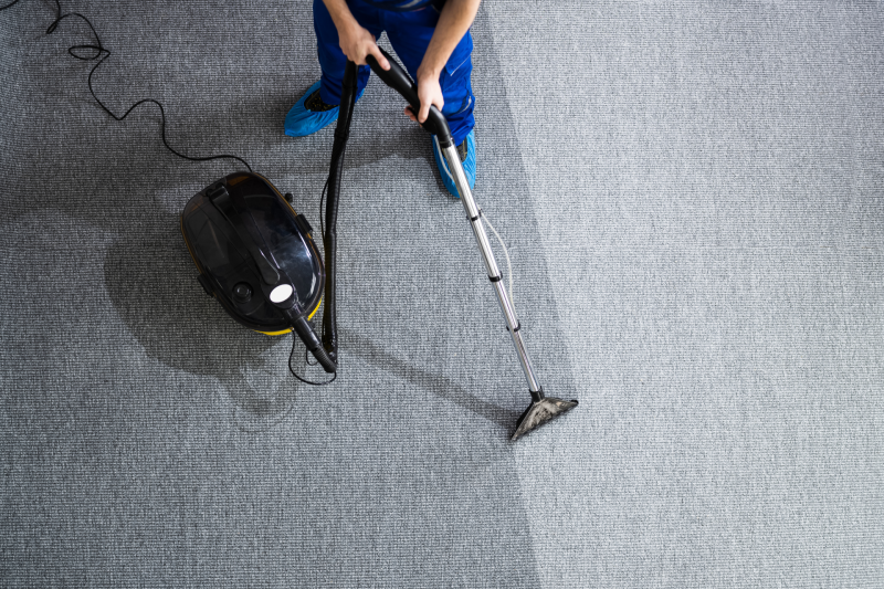 Mold In Carpet How To Treat