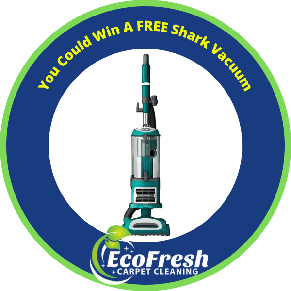Shark Vacuum Prize